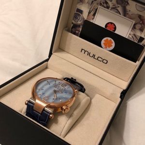 Mulco watch - blue band